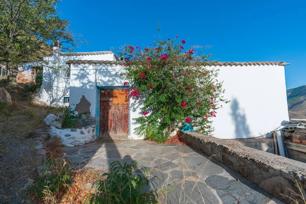 Casa Campo Abandonada Fachada Blanca Tiene Ventanas Puertas Hay Árbol — Foto de Stock