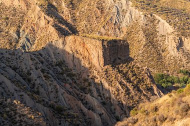 İspanya 'nın güneyindeki dağlık bölgede dağlar bitki örtüsüyle kaplıdır.