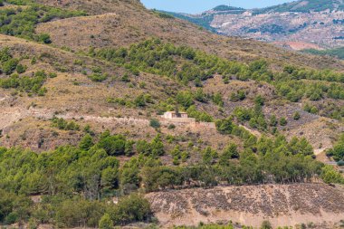 Dağın eteğindeki çam ormanlarının arasında küçük bir ev. Gökyüzü açık.