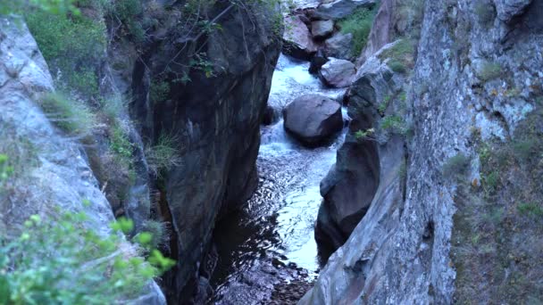 川の石の峡谷を通過すると 1つの斜面に植生がある — ストック動画