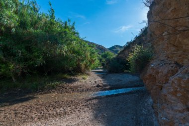 Nehir dağlık bir alanı geçiyor, nehir su taşıyor ve bitki örtüsü var, gökyüzü açık.