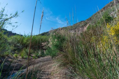 Dağlarda bitki örtüsüyle çevrili bir nehir. Yerde kum ve taşlar var. Gökyüzü az bulutla mavi.