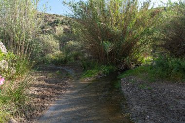 Suyla kaplı bir nehir, ağaçlar ve sazlıklar var, yerde kum ve kayalar var, dağların arkasında dağlar var ve gökyüzü bulutsuz.