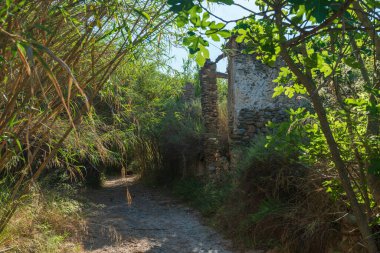 Un değirmeninin eski kalıntıları, çevrede bitki ve ağaçlar var. Gökyüzü mavi.