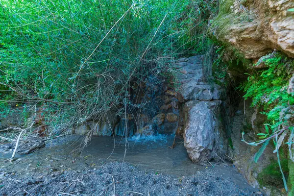Víz Leesik Kőfalról Földön Homok Van Körülötte Növényzet — Stock Fotó
