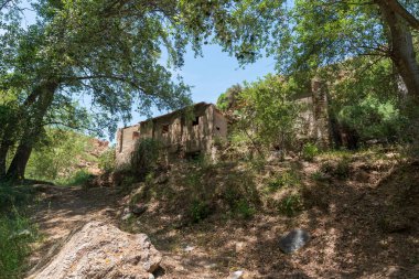 Terk edilmiş un değirmeni ağaçların arasında, binanın pencereleri ve bir kapısı var, yerde büyük kavak kuşları var çimenler ve taşlar var, gökyüzü temiz