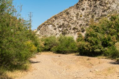 İspanya 'nın güneyindeki dağlık bölge, dağ çalılarla kaplı, su taşımayan bir nehir var ve kenarlarında ağaçlar var, yüksek voltaj kulesi var ve gökyüzü temiz.