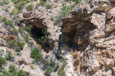 Dağ yamacında kayalar, çalılık bitki örtüsü, küçük bir mağaranın girişi, girişte küçük bir incir ağacı var.