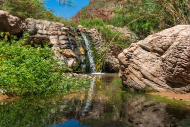Nehirdeki bir şelaleden akan su, nehrin kıyısında bitki örtüsü, nehirde inşa edilmiş taş bir duvar var.