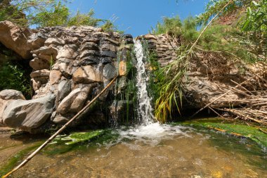 Nehirdeki bir şelaleden akan su, nehrin kıyısında bitki örtüsü, nehirde inşa edilmiş taş bir duvar var.
