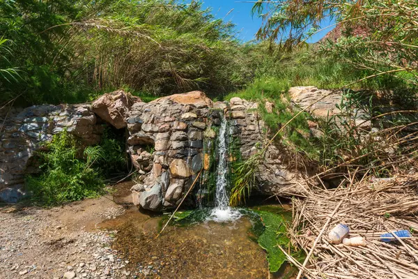 Agua Que Fluye Través Una Cascada Río Hay Vegetación Las —  Fotos de Stock