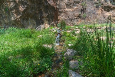 Alandaki su kaynağı, yerde yeşil çimenler ve taşlar ve arkasında bir kaya duvarı var.