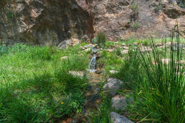 Víz Forrás Területen Vannak Zöld Kövek Földön Egy Sziklafal Mögött — Stock Fotó