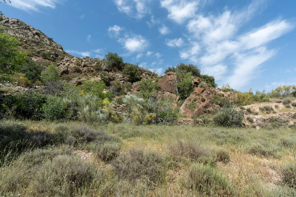 Zone Montagneuse Dans Sud Espagne Végétation Est Abondante Montagne Des — Photo