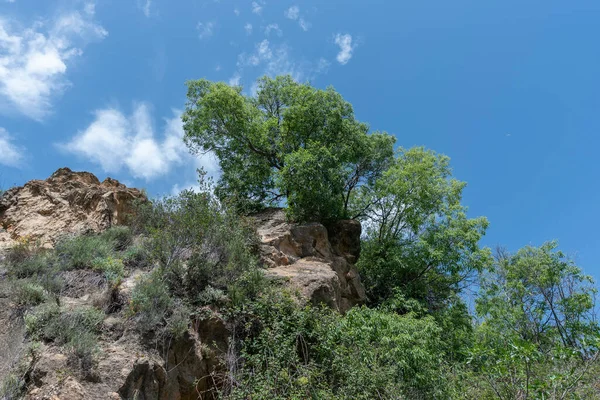 Mountainous Area Southern Spain Abundant Vegetation Mountain Has Rocky Formations — Stock Photo, Image