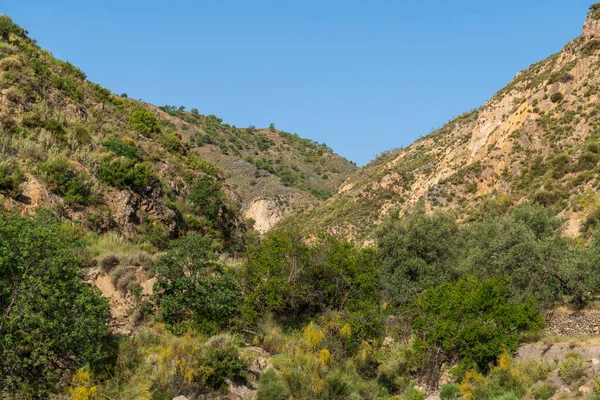 Paisagem Montanhosa Sul Espanha Montanha Coberta Com Vegetação Tem Grandes — Fotografia de Stock