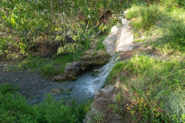 Water Stroomt Door Een Rivier Omgeven Door Vegetatie Groen Gras — Stockfoto