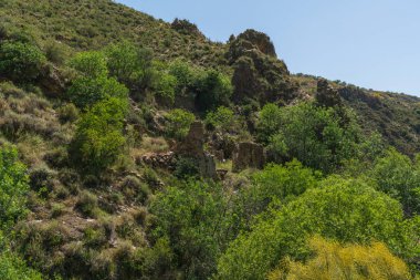 Güney İspanya 'nın dağlık arazisi, dağ bitki örtüsüyle kaplı ve büyük kayaları var, ağaçlar var ve gökyüzü açık.