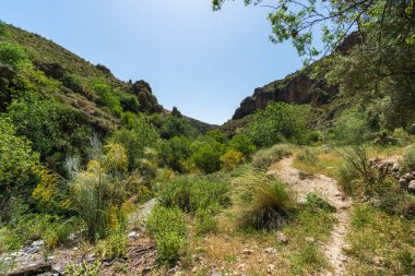 Güney İspanya 'nın dağlık arazisi, dağ bitki örtüsüyle kaplı ve büyük kayaları var, ağaçlar var ve gökyüzü açık.