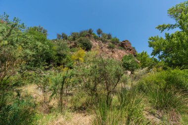 Güney İspanya 'nın dağlık arazisi, dağ bitki örtüsüyle kaplı ve büyük kayaları var, ağaçlar var ve gökyüzü açık.