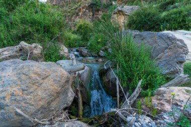 Bitkilerle çevrili bir nehirden akan sular, yerde yeşil çimenler, dağlık bir alan ve gökyüzü berrak.