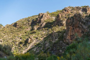 Güney İspanya 'nın dağlık arazisi, dağ bitki örtüsüyle kaplı ve büyük kayaları var, ağaçlar var ve gökyüzü açık.