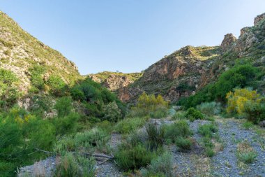 Güney İspanya 'nın dağlık arazisi, dağ bitki örtüsüyle kaplı ve büyük kayaları var, ağaçlar var ve gökyüzü açık.