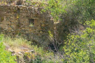 Bitki örtüsünün ortasında harabe halinde un değirmeni, inşaat taş ve çamur, ağaçlar ve yeşil bitkiler var.