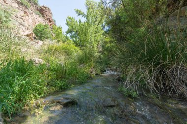 Nehirden aşağı akan su, çevrede bitki örtüsü, ağaçlar ve yeşil bitkiler, büyük kayalar var.