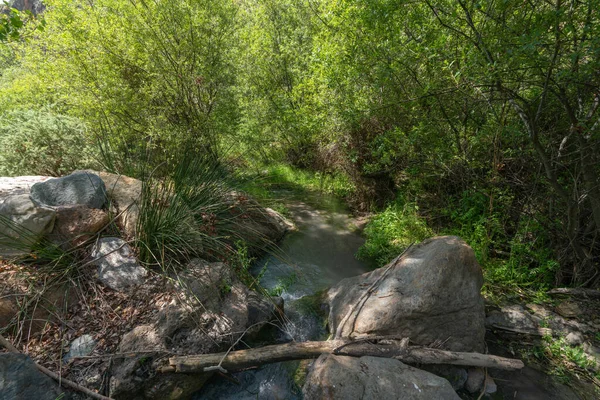 水流下一条河 周围有植被 有树木和绿色的植物 还有巨大的岩石 — 图库照片