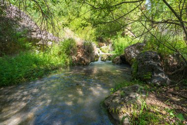 Nehirden aşağı akan su, çevrede bitki örtüsü, ağaçlar ve yeşil bitkiler, büyük kayalar var.