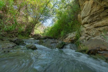 Nehirden aşağı akan su, çevrede bitki örtüsü, ağaçlar ve yeşil bitkiler, büyük kayalar var.