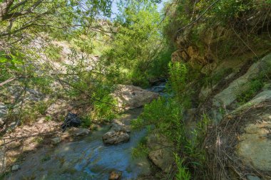 Nehirden aşağı akan su, çevrede bitki örtüsü, ağaçlar ve yeşil bitkiler, büyük kayalar var.