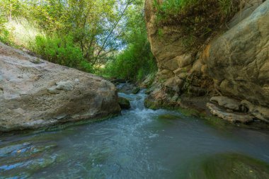 Nehirden aşağı akan su, çevrede bitki örtüsü, ağaçlar ve yeşil bitkiler, büyük kayalar var.