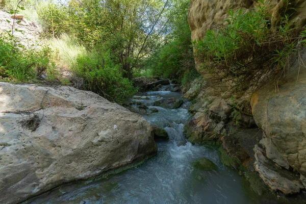 水が川を流れ 周りに植生があり 木々や緑の植物があり 大きな岩があります — ストック写真