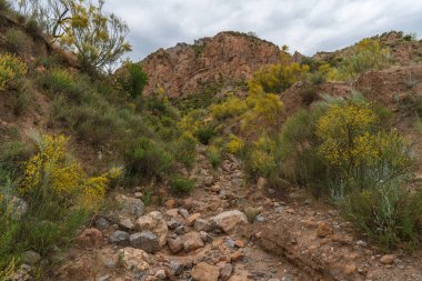 Güney İspanya 'nın dağlık arazisi, dağlar aşırı derecede aşınmış, yarı çöl bölgesi, taşlar ve çalılar var ve gökyüzü bulutlu.