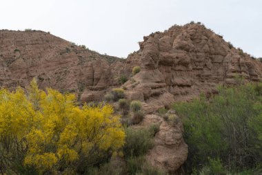 Güney İspanya 'nın dağlık arazisi, dağlar aşırı derecede aşınmış, yarı çöl bölgesi, taşlar ve çalılar var ve gökyüzü bulutlu.