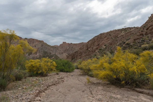 Güney İspanya 'nın dağlık arazisi, dağlar aşırı derecede aşınmış, yarı çöl bölgesi, taşlar ve çalılar var ve gökyüzü bulutlu.