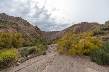 Güney İspanya 'nın dağlık arazisi, dağlar aşırı derecede aşınmış, yarı çöl bölgesi, taşlar ve çalılar var ve gökyüzü bulutlu.