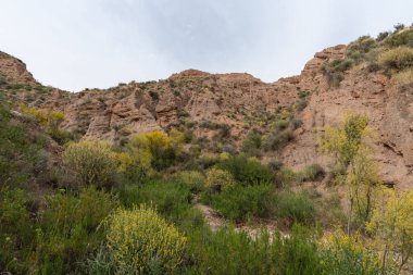 Güney İspanya 'nın dağlık arazisi, dağlar aşırı derecede aşınmış, yarı çöl bölgesi, taşlar ve çalılar var ve gökyüzü bulutlu.
