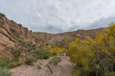 Güney İspanya 'nın dağlık arazisi, dağlar aşırı derecede aşınmış, yarı çöl bölgesi, taşlar ve çalılar var ve gökyüzü bulutlu.