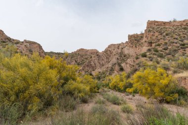 Güney İspanya 'nın dağlık arazisi, dağlar aşırı derecede aşınmış, yarı çöl bölgesi, taşlar ve çalılar var ve gökyüzü bulutlu.