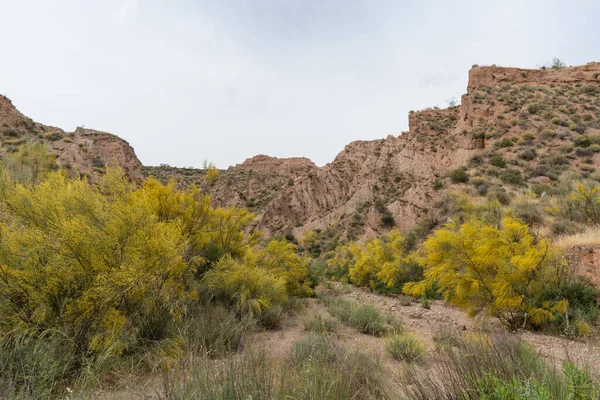 Güney İspanya 'nın dağlık arazisi, dağlar aşırı derecede aşınmış, yarı çöl bölgesi, taşlar ve çalılar var ve gökyüzü bulutlu.