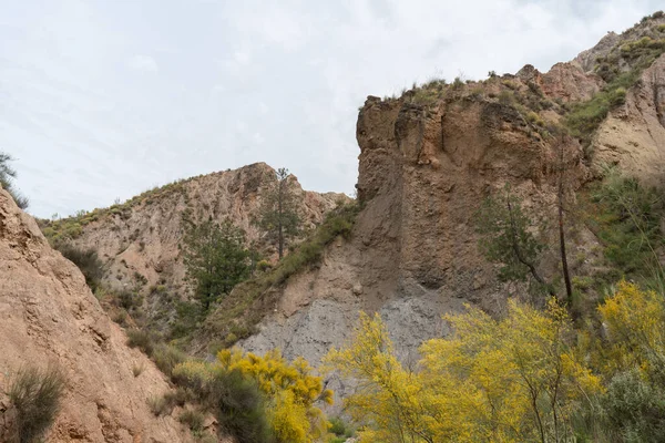 Güney İspanya 'nın dağlık arazisi, dağlar aşırı derecede aşınmış, yarı çöl bölgesi, taşlar ve çalılar var ve gökyüzü bulutlu.