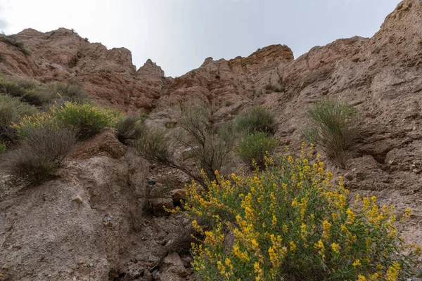Güney İspanya 'nın dağlık arazisi, dağlar aşırı derecede aşınmış, yarı çöl bölgesi, taşlar ve çalılar var ve gökyüzü bulutlu.