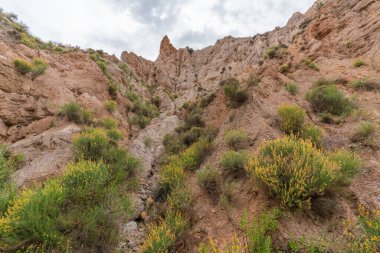 Güney İspanya 'nın dağlık arazisi, dağlar aşırı derecede aşınmış, yarı çöl bölgesi, taşlar ve çalılar var ve gökyüzü bulutlu.