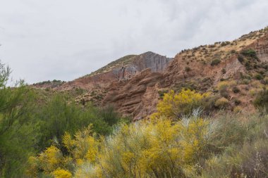Güney İspanya 'nın dağlık arazisi, dağlar aşırı derecede aşınmış, yarı çöl bölgesi, taşlar ve çalılar var ve gökyüzü bulutlu.