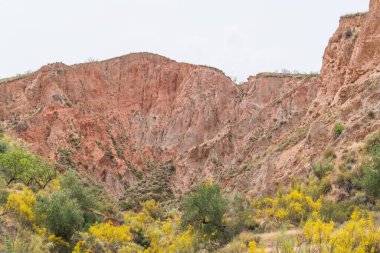 Güney İspanya 'nın dağlık arazisi, dağlar aşırı derecede aşınmış, yarı çöl bölgesi, taşlar ve çalılar var ve gökyüzü bulutlu.