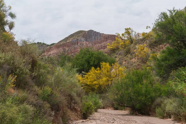 Güney İspanya 'nın dağlık arazisi, dağlar aşırı derecede aşınmış, yarı çöl bölgesi, taşlar ve çalılar var ve gökyüzü bulutlu.