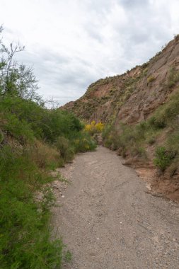 Güney İspanya 'nın dağlık arazisi, sarı çiçekli bitkiler, kuru bir dere ve gökyüzü bulutlu.